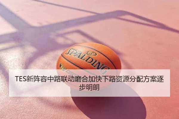 TES新阵容中路联动磨合加快下路资源分配方案逐步明朗
