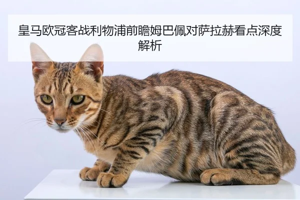 皇马欧冠客战利物浦前瞻姆巴佩对萨拉赫看点深度解析